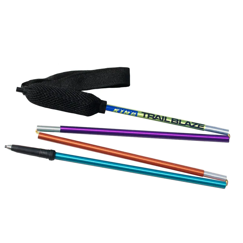 Mountain King Trail Blaze Pair Poles in Harlequin